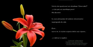 come stai